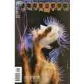 Dreaming (Vol 1) # 033 NM MODERN AGE COMICS