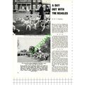 Mid-Essex Beagles Bill Knight Hornchurch Essex ...