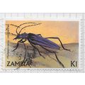 ZAMBIA 1986 INSECT BEETLE LONGHORN Phasganocnem...