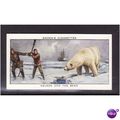 Ogden's Cards 1939 Sea Adventure No 12 Nelson a...