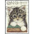 AUSTRALIA, CATS, Domestic Cat , light green 199...