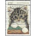 AUSTRALIA, CATS, Domestic Cat , light green 199...