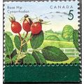 STAMP Canada SG1463 1991 5c Berries - Rosehip Used