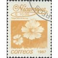 NICARAGUA, FLOWER, Marigold, Tagetes erecta, or...