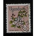 UGANDA 1969 FLOWES 70c CARISSA EDULIS SG 139 FI...