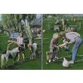Reedham Norfolk Farm Real Metallic Shine Postcard