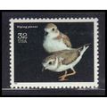 3105n 32c Piping Plover Fine MNH V4494