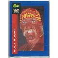 WWF ' 150 card ' set (1991)
