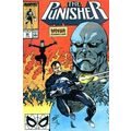 Punisher (Vol 1) # 022 NM MODERN AGE COMICS