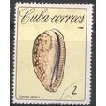 Cuba 1966 - SG1385 - 2c - Measled Cowrie - used