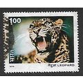 INDIA 1976 INDIAN WILDLIFE 1R LEOPARD SG 827 FI...