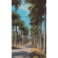 Codrington College West Indies Barbados Postcard