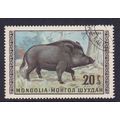 MONGOLIA 1970 WILD ANIMALS 20m WILD BOAR USED S...