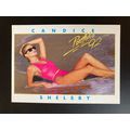Portfolio '92 International Swimsuit Base tradi...