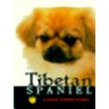 Tibetan Spaniel by Susan Miccio