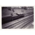 Railway Photo SR U 31637 Clapham Junction 1962 ...