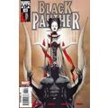 Black Panther (Vol 3) # 013 NM MODERN AGE COMICS
