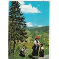 Schwarzwald Gutacher Trachten Germany Postcard ...