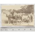 1974 postcard Vintage Merioneth Farmers