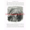 Castle of Rheinfelz, Germany, Book Illustration...