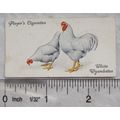 1931 John Player & Sons Poultry No. 49 White Wy...