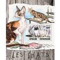 CENTRAL AFRICA 2016 SHEET MNH CATS CHATS KATZEN...