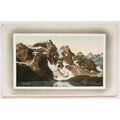 vintage postcard Canadian Rockies, Laggan