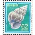 JAPAN, MOLLUSC, Precious wentletrap, Epitonium ...