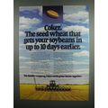 1984 Coker 797, 983, 916 and 747 Wheat Ad