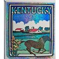 Kentucky State Vinyl Reflective Souvenir Decal ...
