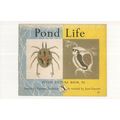 Pond Life 1964 Puffin Picture Book Postcard