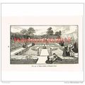 Tudor Garden, Hampton Court, London, Book Illus...