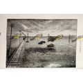 Prairie Railway (With Buffalo), USA, Book Illus...