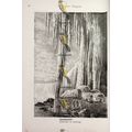 Niagara In Winter, USA, Book Illustration (Prin...