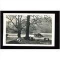 Westmorland RYDAL WATER Postcard by Abraham (610)
