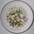 Caverswall WINTER PLATE; Four Seasons of an Eng...