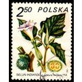 Poland 1980 Therapeutic Plants flowers 2.50z Us...
