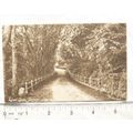 vintage postcard Rozel Lane, Jersey