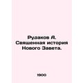 Rudakov A. The Sacred History of the New Testam...