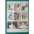 X671) Swedish Ballet Elsa Marianne Von Rosen Ju...