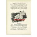 Rocky Mountain Goat, Animal Book Illustration (...