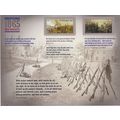 The Civil War: 1865 Souvenir Sheet of 12 Curren...