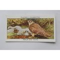 1932 John Player & Sons Wild Birds No. 23 Merli...