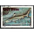 Vietnam 1991 Marine Life Fish 200d Used Stamp S...