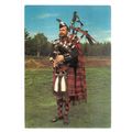 A PIPE-MAJOR, The Queens own Cameron Highlander...