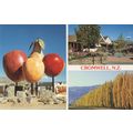 Cromwell Shopping Mall New Zealand Postcard