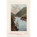Makawaku Gorge New Zealand Antique Postcard