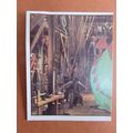 Petes Dragon Panini Sticker No 302
