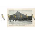 Lion's Head, Sea Point, Cape Town, South Africa...