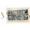 Port Elizabeth, Main Street, South Africa, Book...